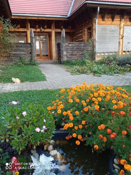 Apartman egy Makovecz Imre tervezte házban Ispánk Exterior foto